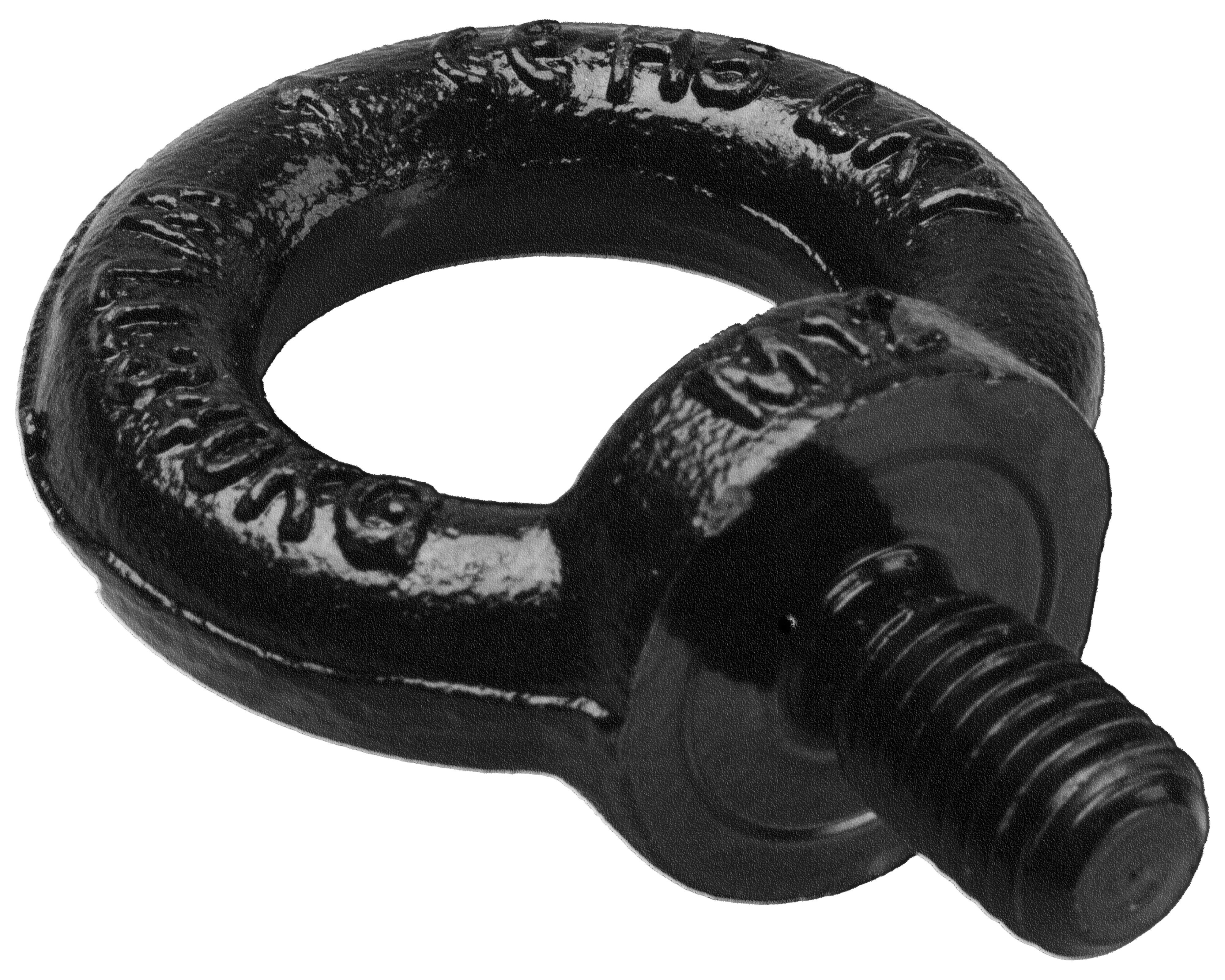 Ringschraube DIN 580 Blackline M10